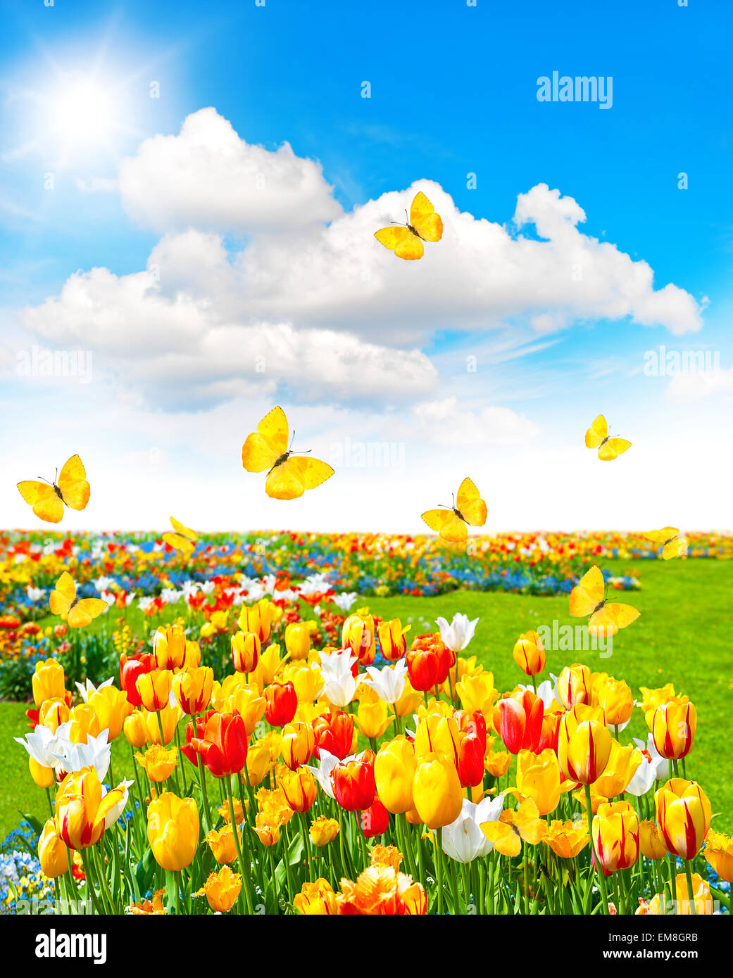 Tempo di primavera paesaggio con farfalle di sole e cielo blu. Prato con fiori assortiti in erba verde Foto Stock