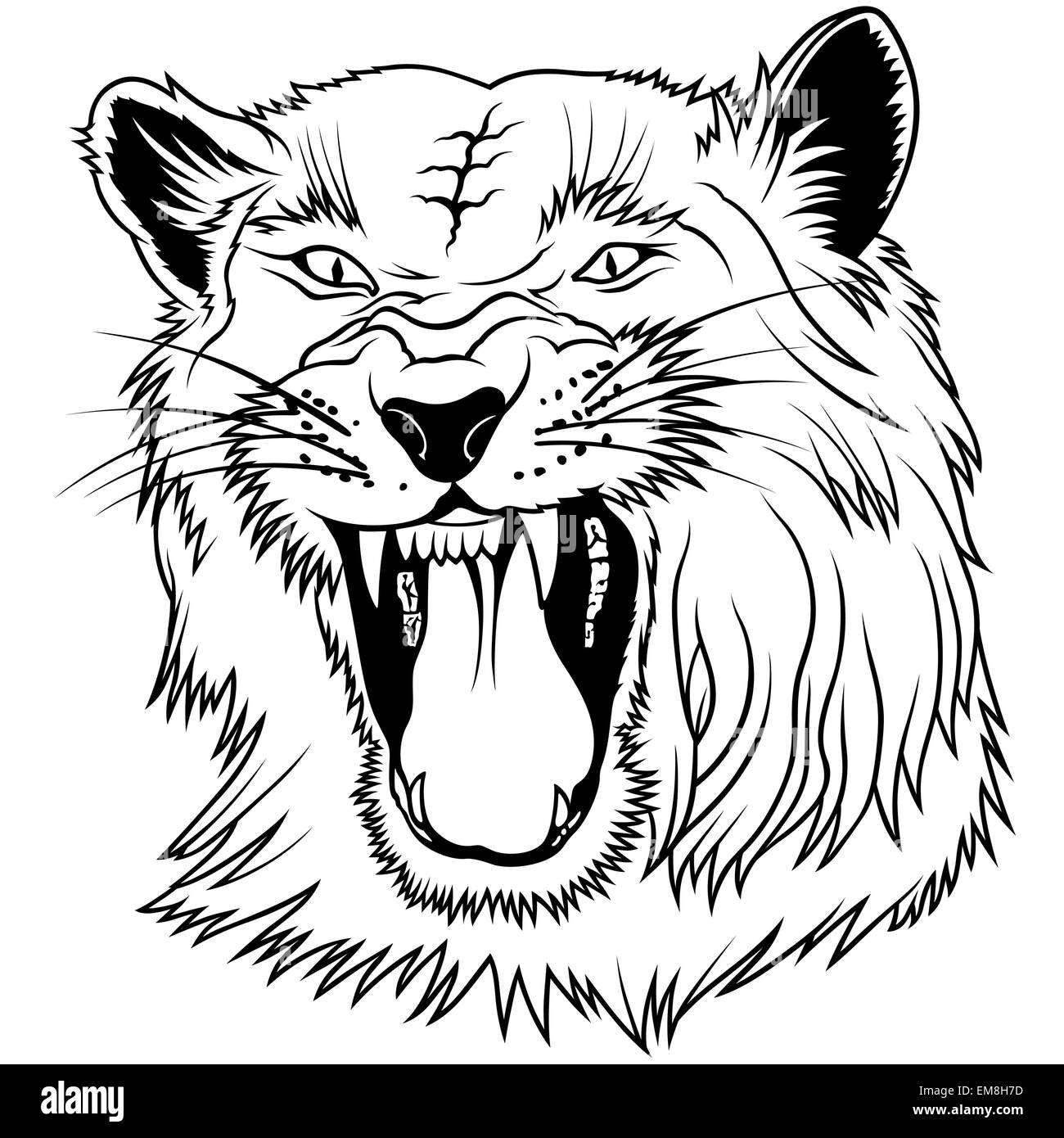 Testa del gatto grande Illustrazione Vettoriale