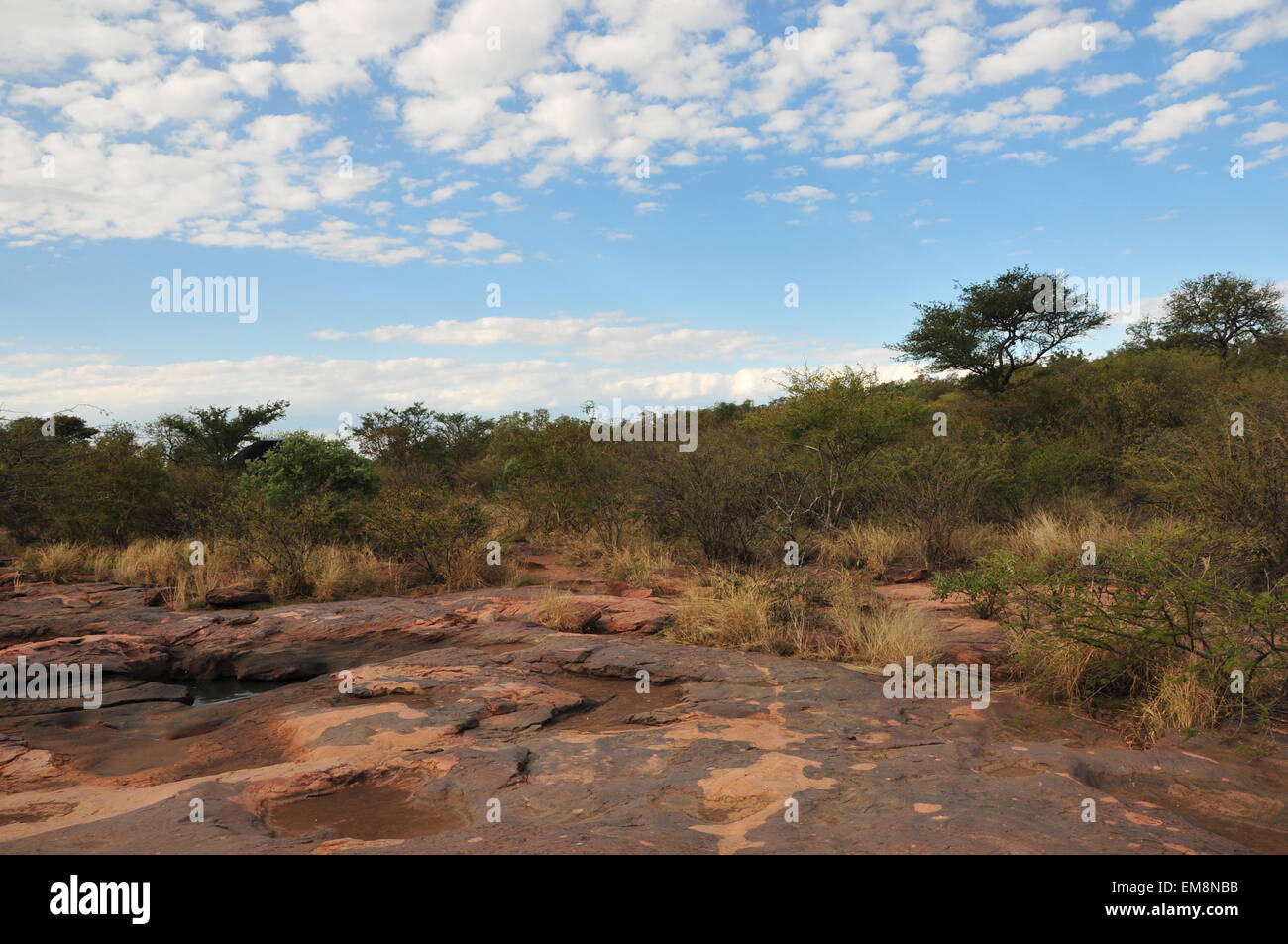 Rasesa. Xvi Apr, 2015. Foto realizzata il 16 aprile 2015 illustra Matsieng Incisioni Rupestri di San People (Persone boscimane) realizzato in corrispondenza della tarda Età della Pietra in Rasesa villaggio, a sud-est del Botswana. Le incisioni includono l'animale e impronte umane. © Lyu Tianran/Xinhua/Alamy Live News Foto Stock