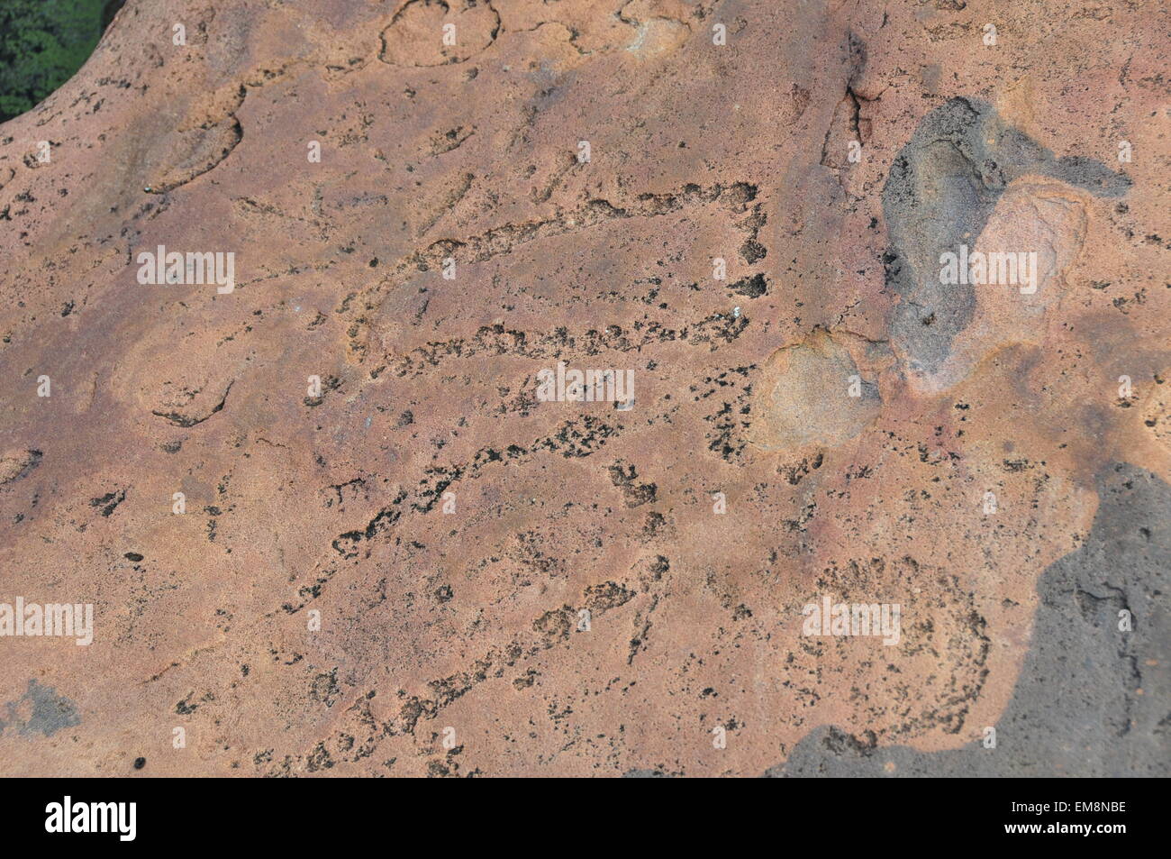 Rasesa. Xvi Apr, 2015. Foto realizzata il 16 aprile 2015 illustra Matsieng Incisioni Rupestri di San People (Persone boscimane) realizzato in corrispondenza della tarda Età della Pietra in Rasesa villaggio, a sud-est del Botswana. Le incisioni includono l'animale e impronte umane. © Lyu Tianran/Xinhua/Alamy Live News Foto Stock