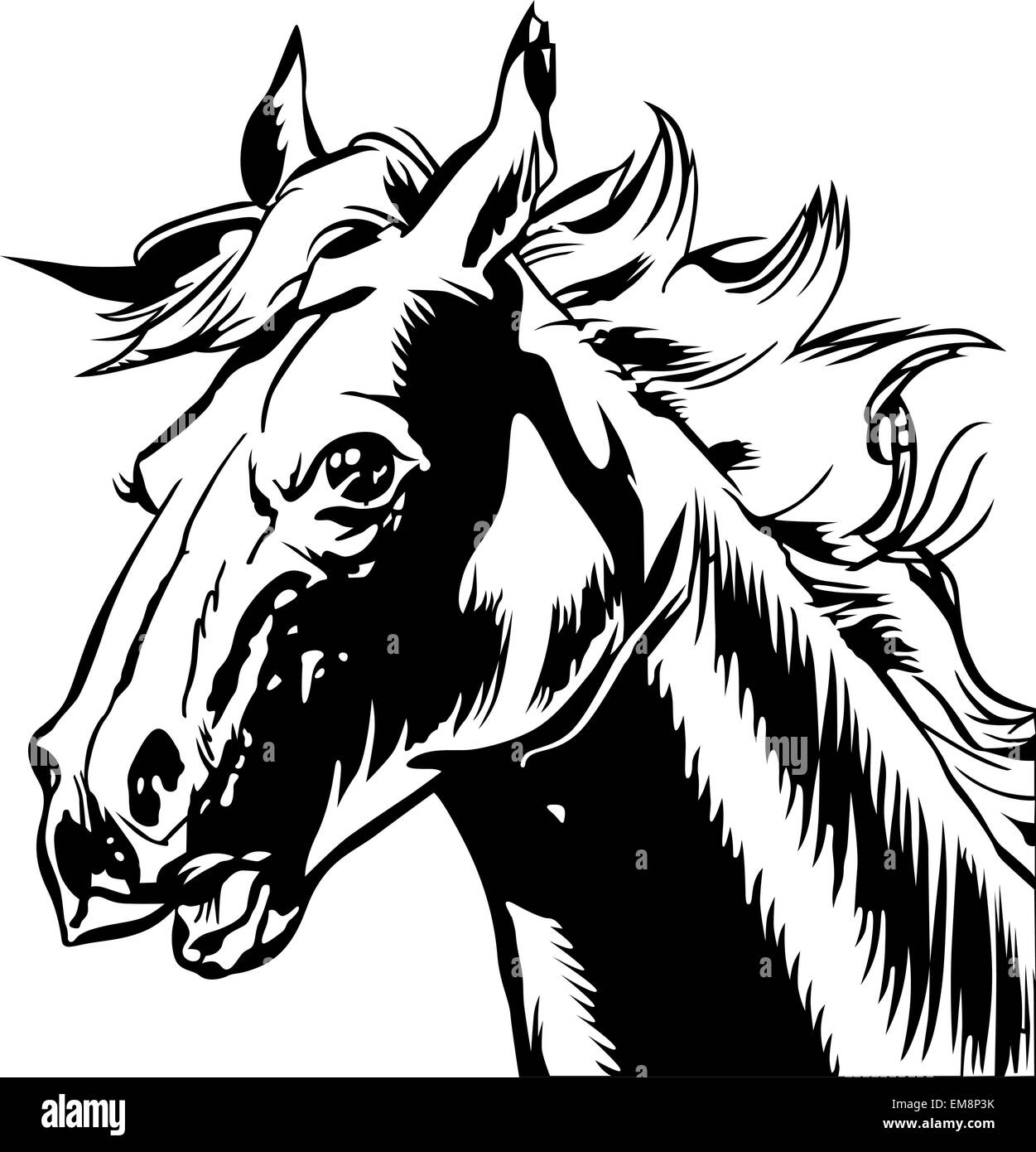 Testa di cavallo Illustrazione Vettoriale