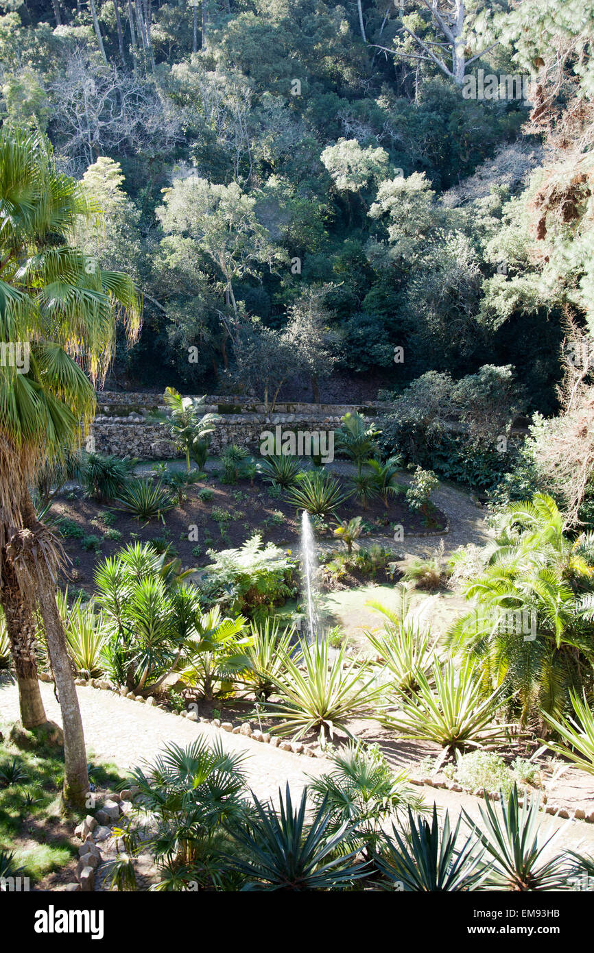 Monserrate Palace Gardens , Giardino messicano - Sintra Portogallo Foto Stock