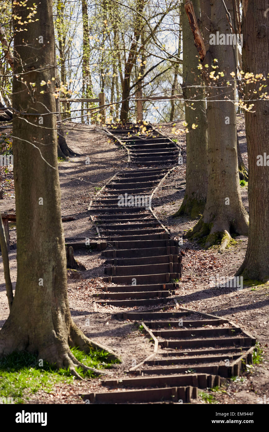 Gradini che conducono le battute dal Fiume Mole. West End comune, Esher Surrey, Inghilterra. Foto Stock