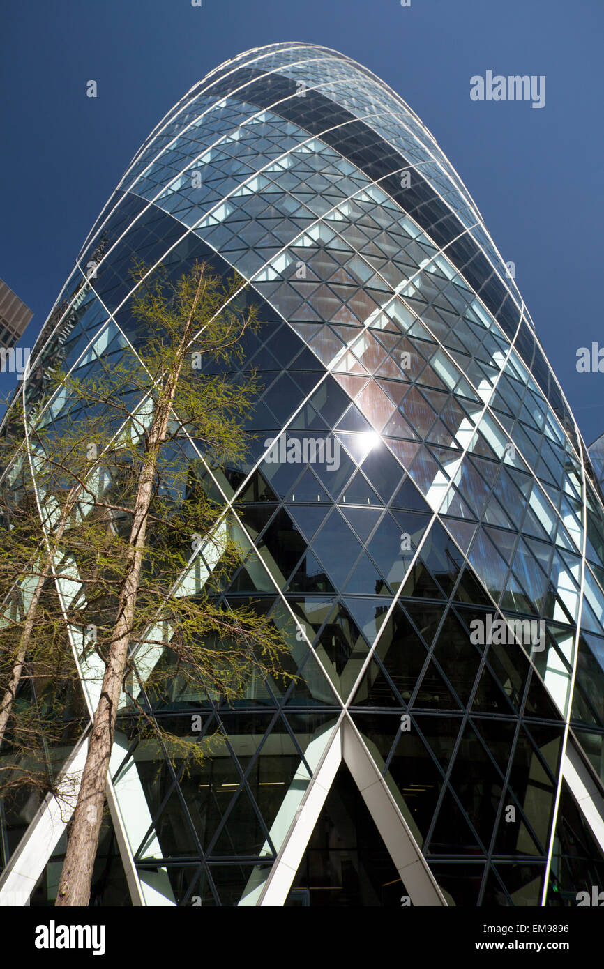 Il Gherkin aka 30 St Mary Axe nella City di Londra Foto Stock