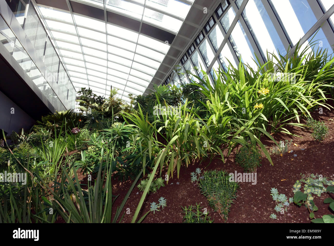 Sky Garden all'interno del walkie talkie building, Londra Foto Stock
