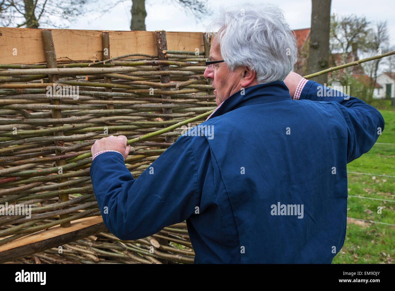 Artigiano rendendo tradizionale recinto di bargiglio tessendo sottili rami di salice Foto Stock