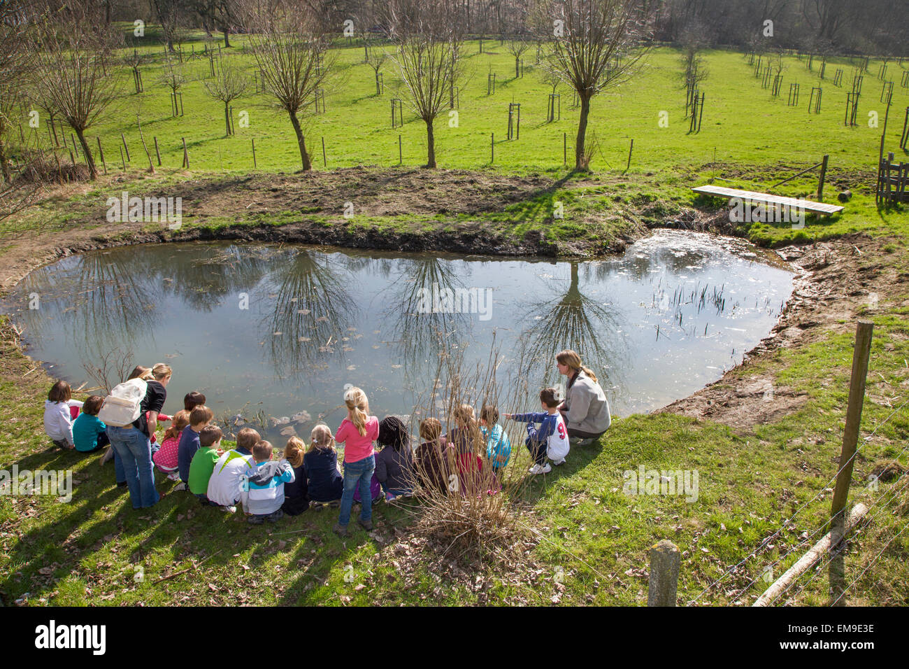 I bambini della scuola con insegnanti guardando frogspawn nel vecchio posto di irrigazione per il bestiame, habitat per anfibi come le rane e i rospi Foto Stock