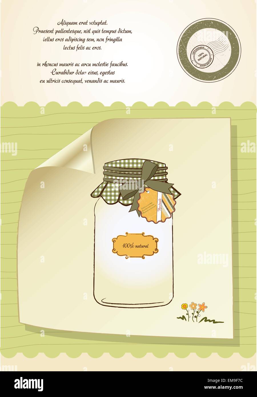 Puro alimenti biologici jar Illustrazione Vettoriale