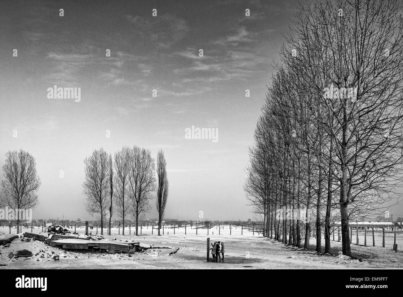 Auschwitz II - Birkenau guardando indietro dal memorial Foto Stock