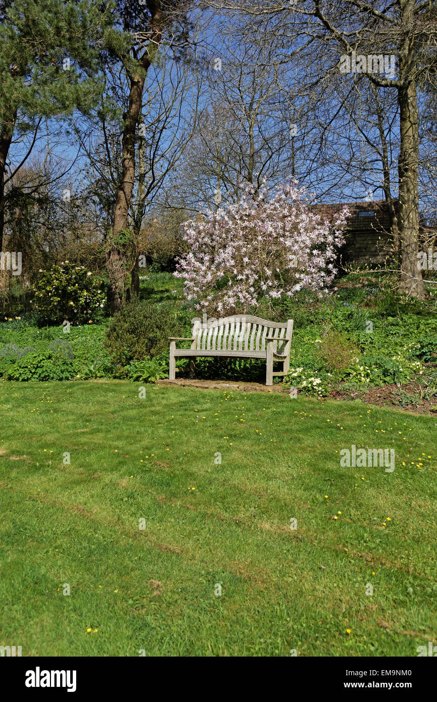 Banco in dorset garden Foto Stock