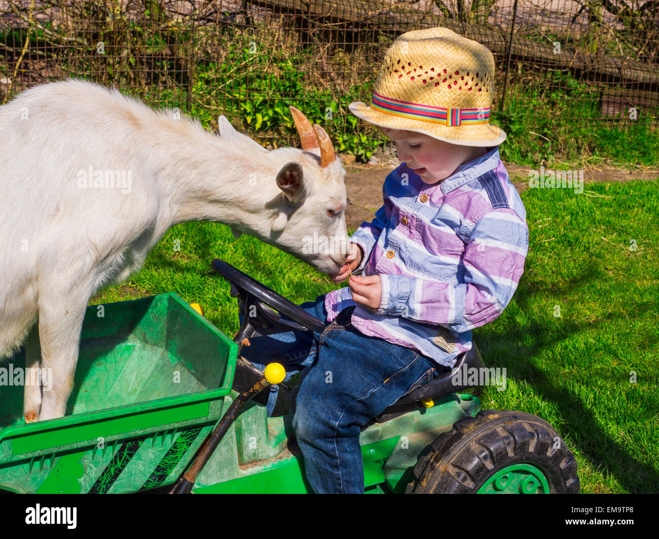 Carino farm boy e una capra Foto Stock