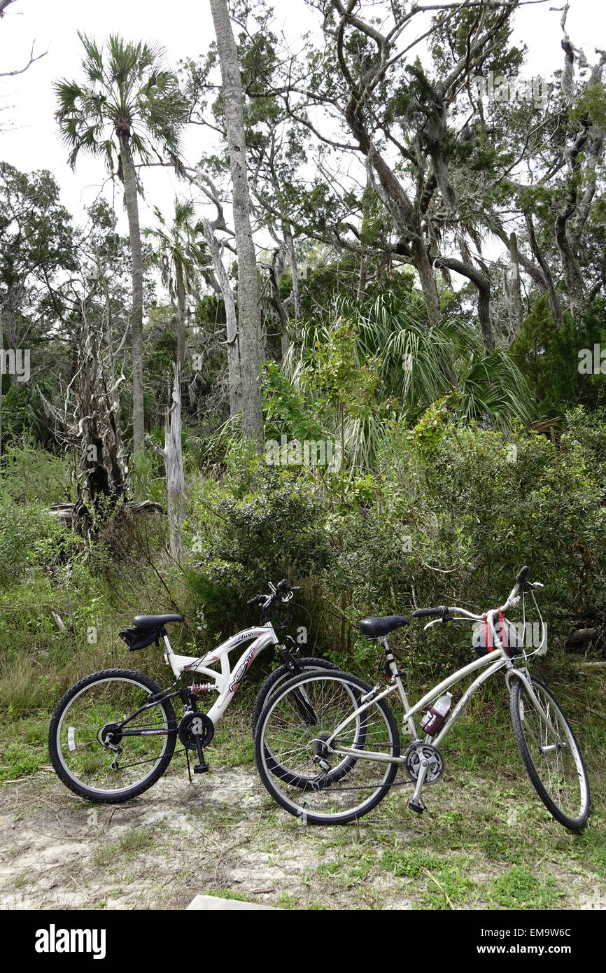 Le biciclette vicino a Salt Marsh sentieri, Chassahowitzka National Wildlife Refuge, Florida Foto Stock