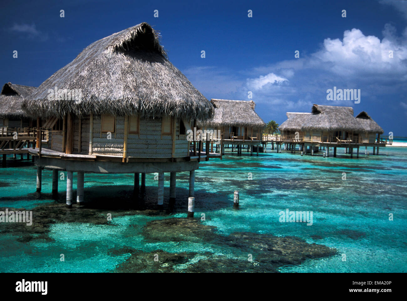 Polinesia francese Isole Tuamotu, Tikehau Pearl Beach Resort, Bungalows su acqua chiara Foto Stock