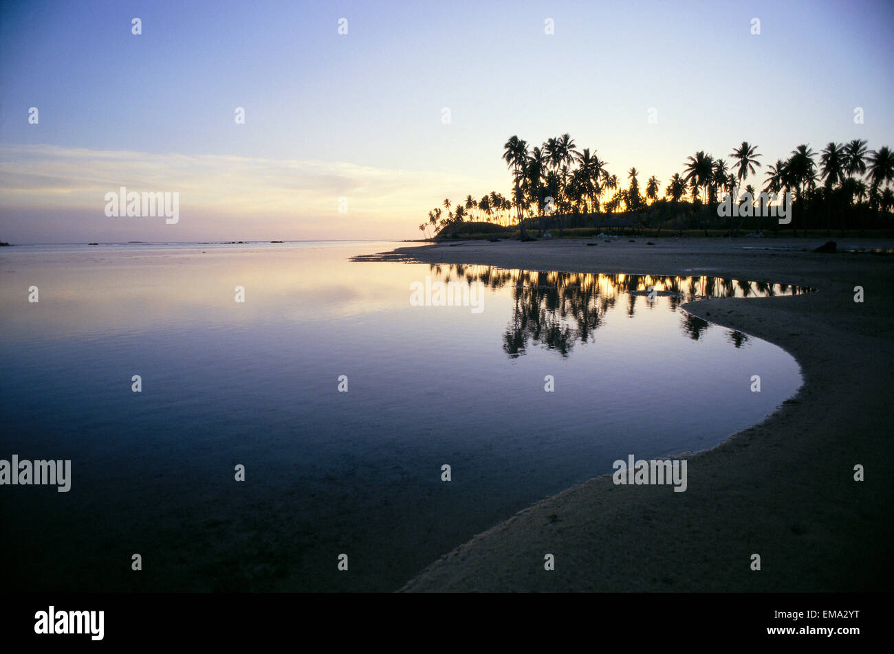 Isole Figi, Isole della Mamanuca, Malololailai Isola, tramonto tropicale lungo la riva Palme distanza acqua calma con riflessioni A59A Foto Stock