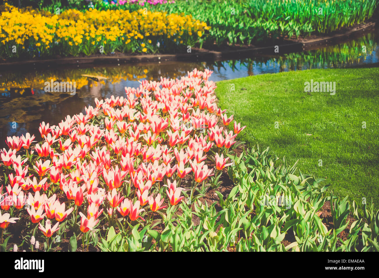 Il creative architettura del paesaggio di Keukenhof durante il layout 2015 ispirato da Vincent Van Gogh. Il parco in Olanda è dis Foto Stock