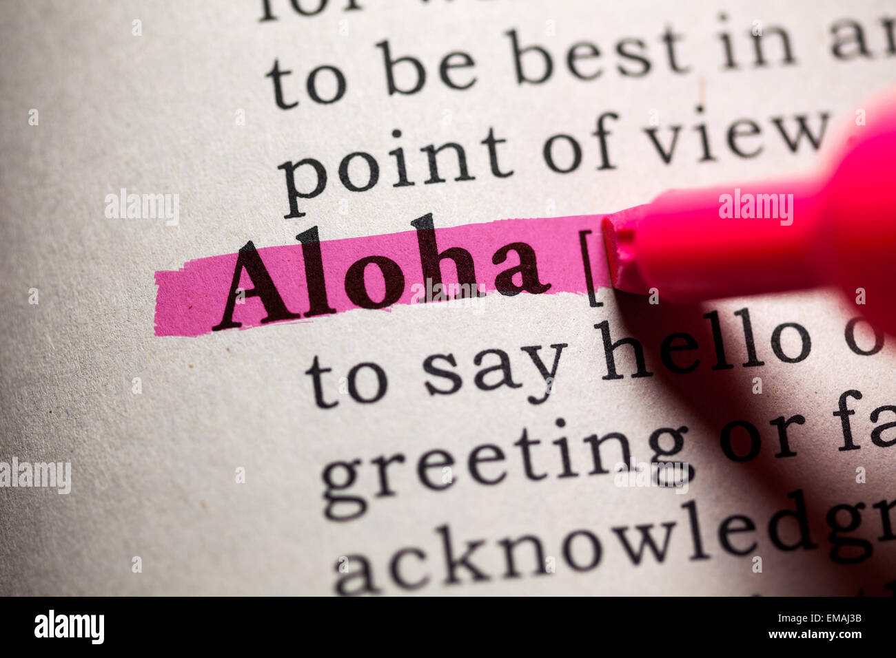 Fake Dizionario, definizione del dizionario della parola aloha. Foto Stock