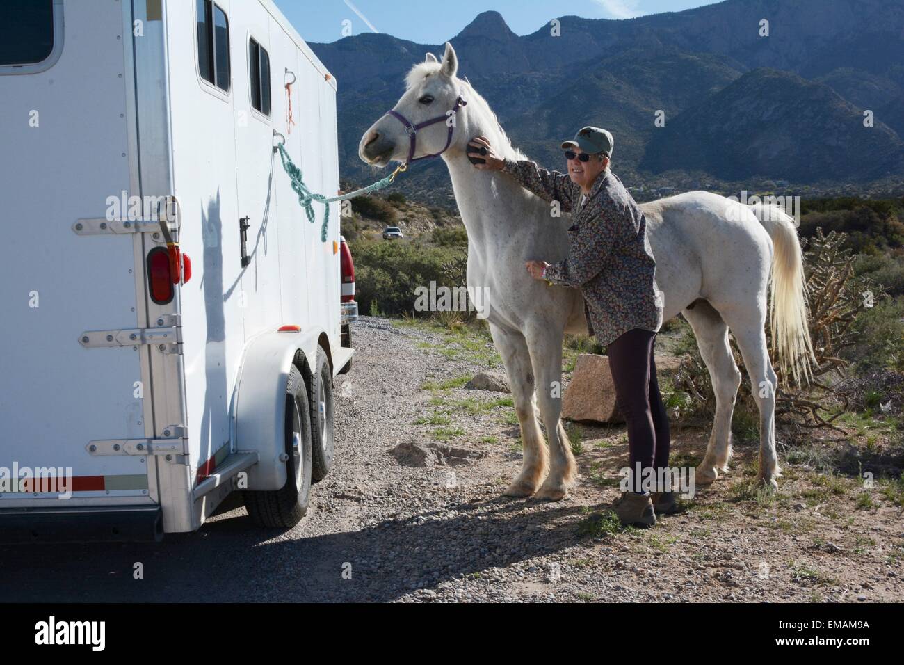 Come ottenere il mio cavallo pronto per un sentiero di marcia in Sandia Mountains del New Mexico - USA Foto Stock