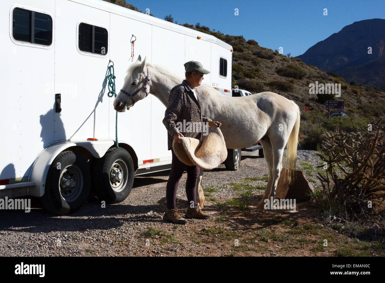 Ottenere pronto per posizionare il tampone sella sul mio cavallo arabo, New Mexico - USA Foto Stock