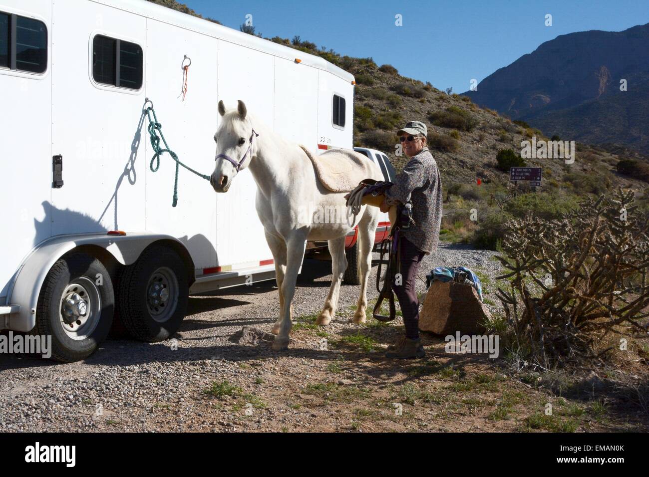 Tempo per il posizionamento a sella sul mio cavallo arabo - New Mexico - USA Foto Stock