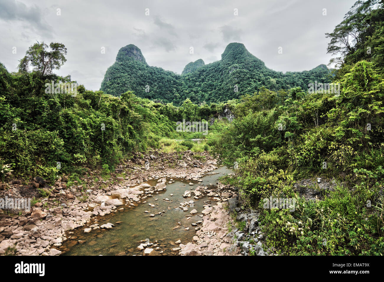 Ruscello di montagna in cattive condizioni atmosferiche. Vietnam del nord Foto Stock