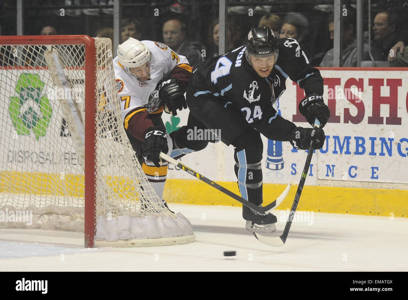 Rosemont, IL, Stati Uniti d'America. Xviii Apr, 2015. Milwaukee Admirals' Zach Budish (24) passa prende il puck intorno all'obiettivo durante la American Hockey League tra il Milwaukee Admirals e Chicago Wolves all'Allstate Arena in Rosemont, IL. Patrick Gorski/CSM/Alamy Live News Foto Stock