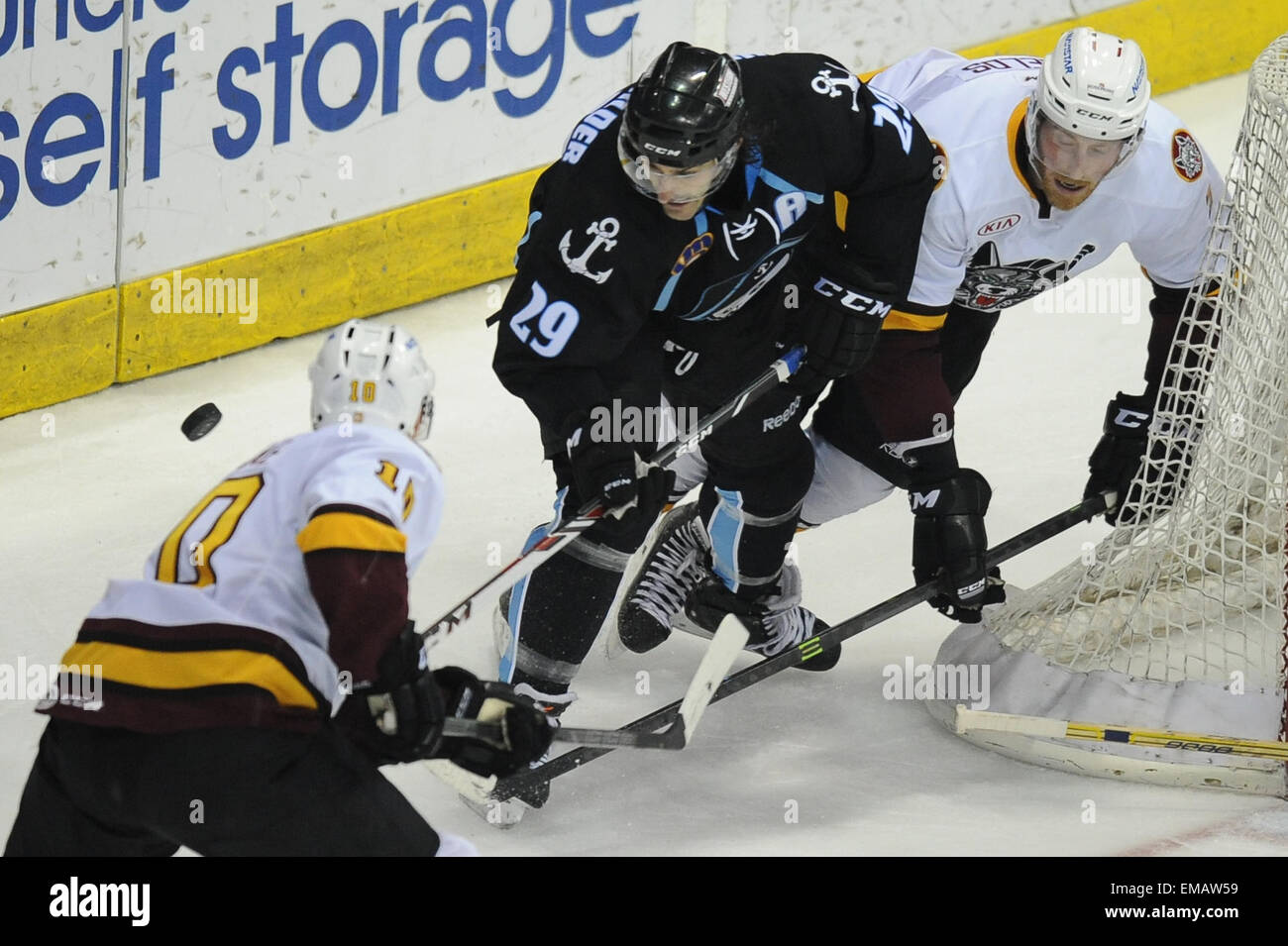 Rosemont, IL, Stati Uniti d'America. Xviii Apr, 2015. Milwaukee Admirals" Mark Van Fiorino (29) tenta di controllare il puck durante la American Hockey League tra il Milwaukee Admirals e Chicago Wolves all'Allstate Arena in Rosemont, IL. Patrick Gorski/CSM/Alamy Live News Foto Stock