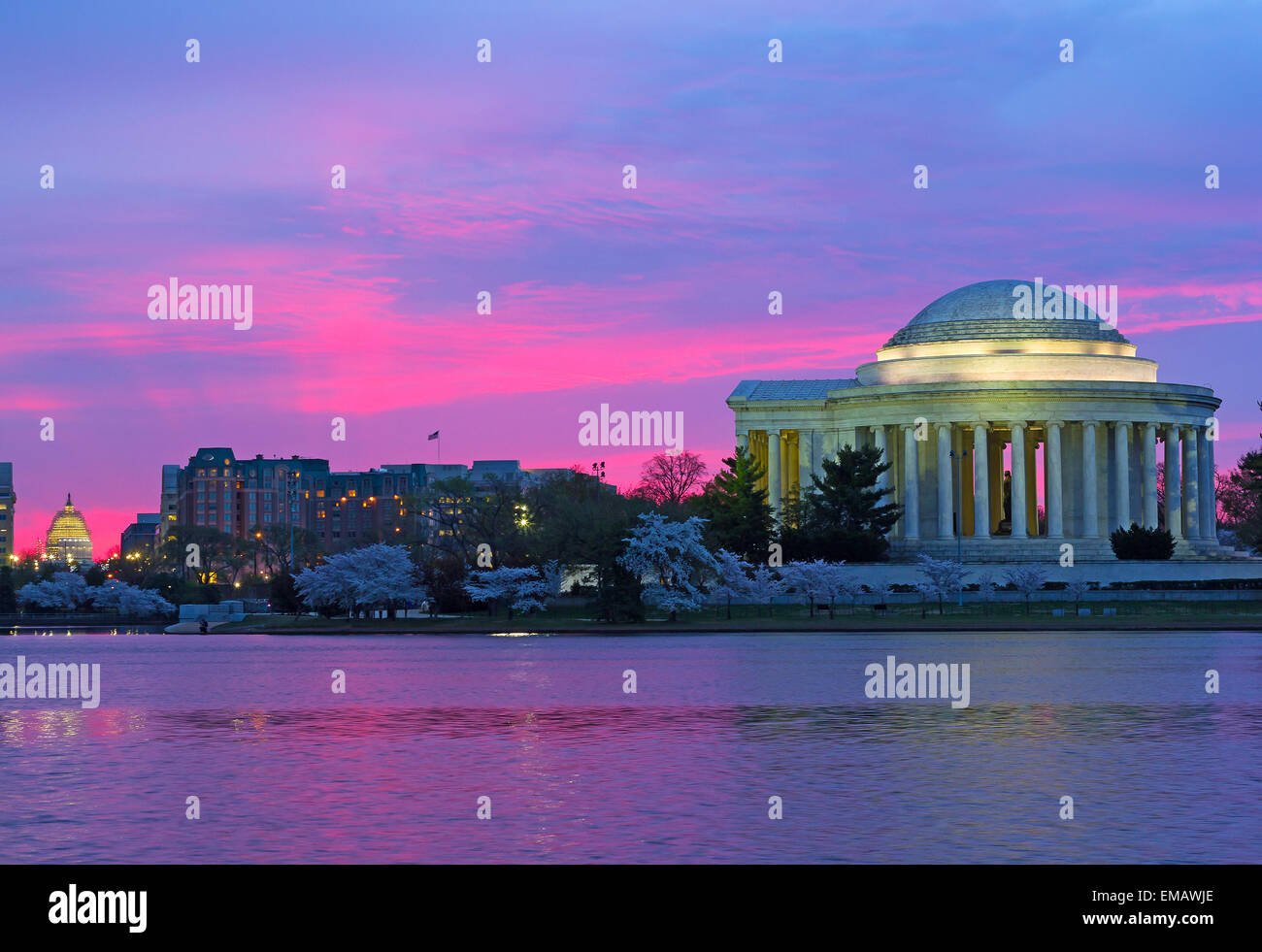 Thomas Jefferson Memorial all'alba durante il Cherry Blossom Festival. Foto Stock