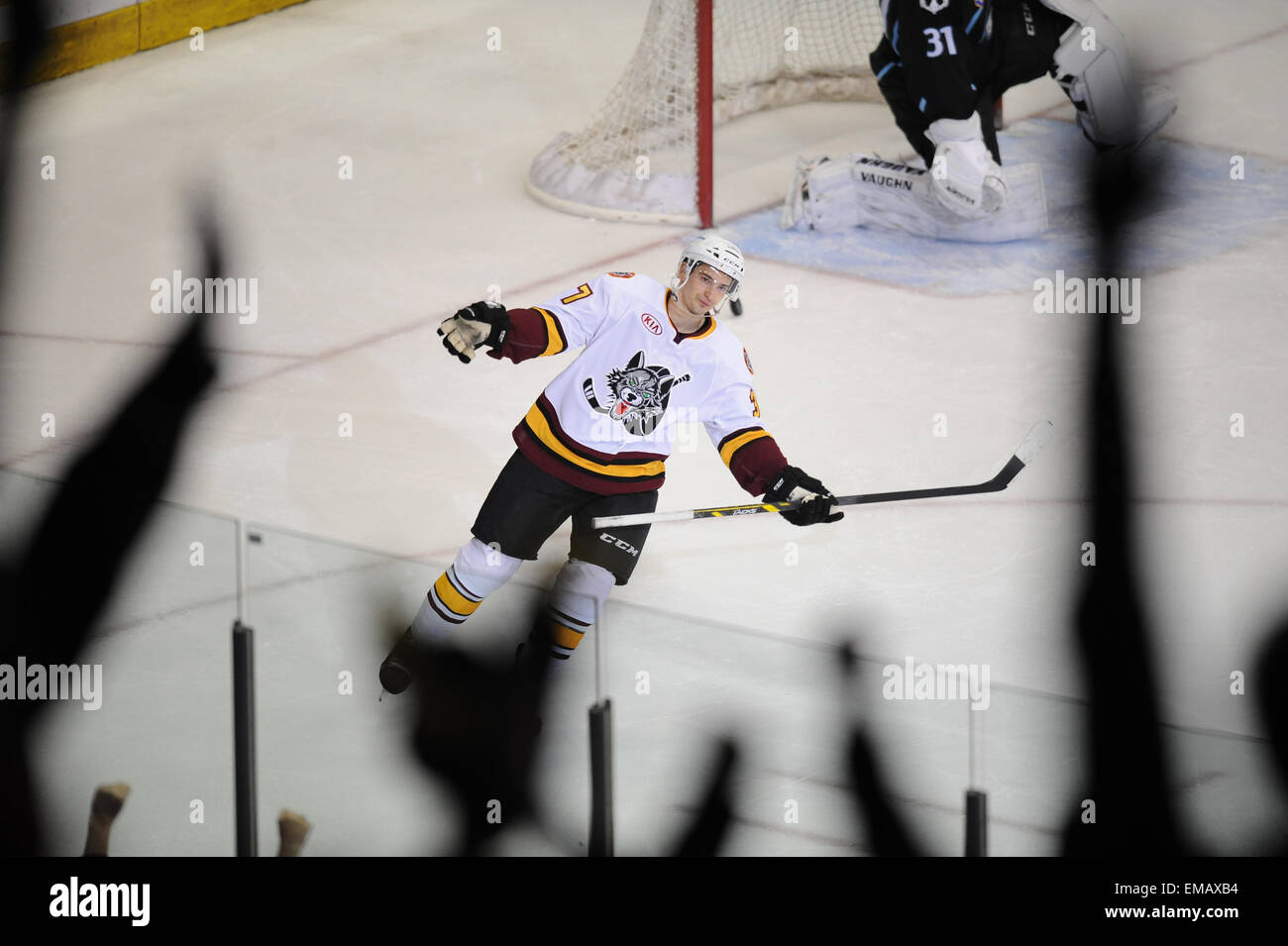 Rosemont, IL, Stati Uniti d'America. Xviii Apr, 2015. Chicago Wolves' Terry Broadhurst (37) rende il gioco goal vincente e ventole allegria durante la American Hockey League tra il Milwaukee Admirals e Chicago Wolves all'Allstate Arena in Rosemont, IL. Patrick Gorski/CSM/Alamy Live News Foto Stock