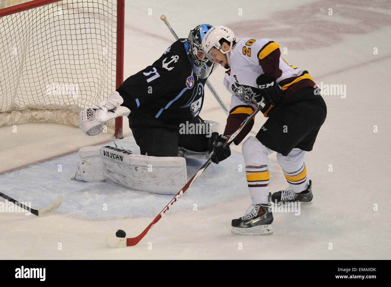 Rosemont, IL, Stati Uniti d'America. Xviii Apr, 2015. Chicago Wolves' Cody spiaggia (20) controlla il puck davanti a Milwaukee Admirals' Marek Mazanec (31) durante la American Hockey League tra il Milwaukee Admirals e Chicago Wolves all'Allstate Arena in Rosemont, IL. Patrick Gorski/CSM/Alamy Live News Foto Stock