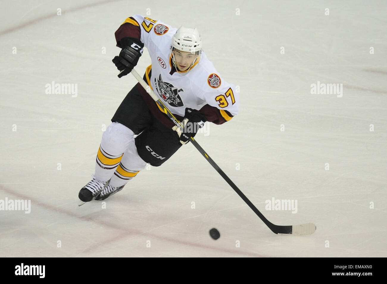 Rosemont, IL, Stati Uniti d'America. Xviii Apr, 2015. Chicago Wolves' Terry Broadhurst (37) insegue il puck durante la American Hockey League tra il Milwaukee Admirals e Chicago Wolves all'Allstate Arena in Rosemont, IL. Patrick Gorski/CSM/Alamy Live News Foto Stock