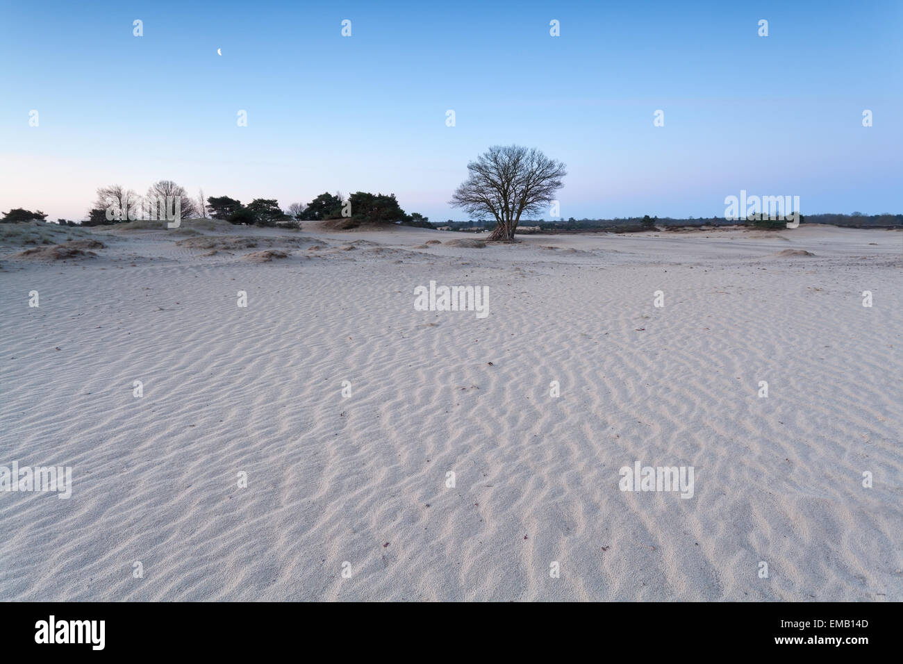 Modello di onda sulla sabbia e la luna nel crepuscolo Foto Stock