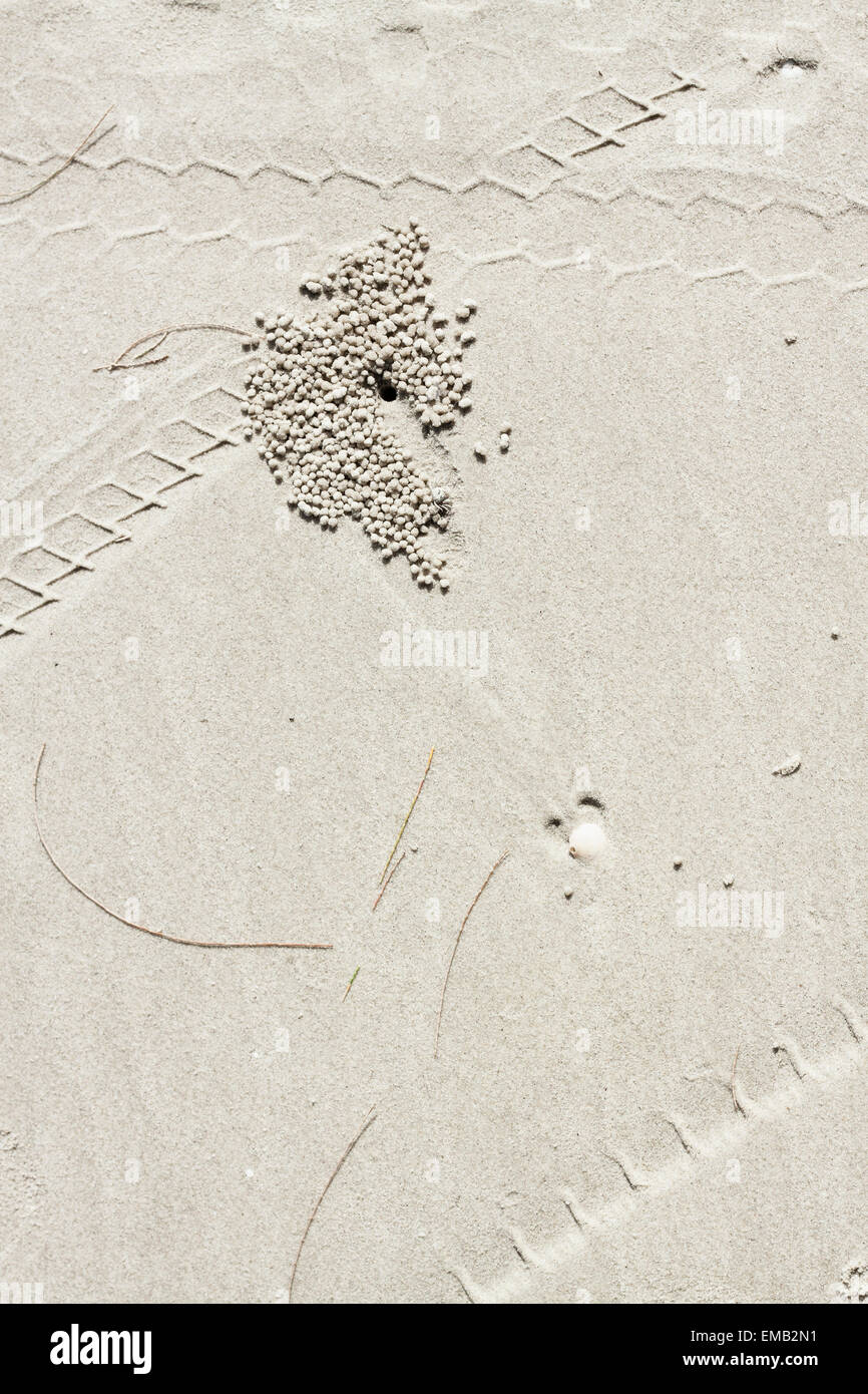Stampa dei pneumatici sulla spiaggia di sabbia bianca. Foto Stock
