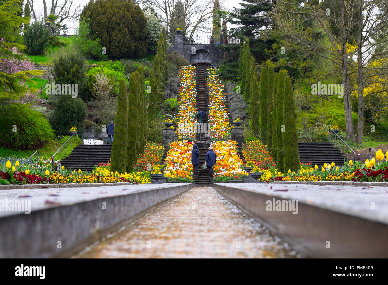 Isola floreale di Mainau sul lago di Costanza Foto Stock