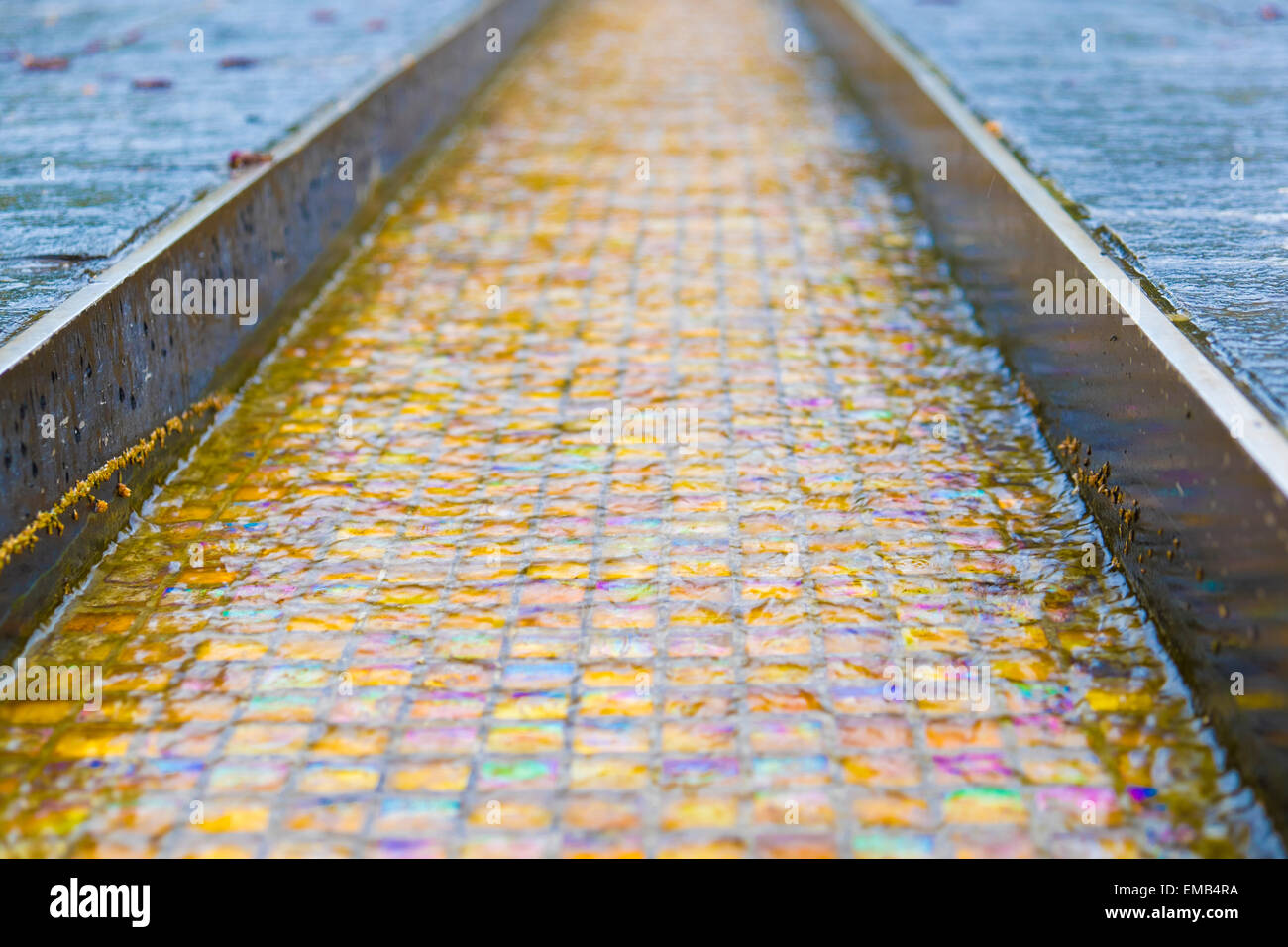 Isola floreale di Mainau sul lago di Costanza Foto Stock