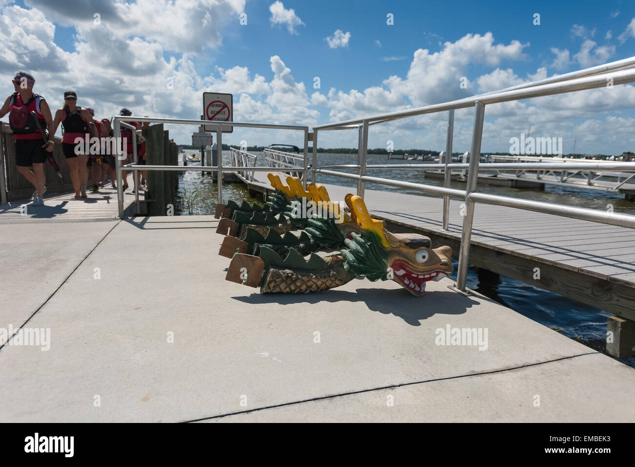 Gli atleti di ritornare al molo dopo un giorno di Dragon Boat racing event essendo mantenuto in Tavares, Florida USA Foto Stock