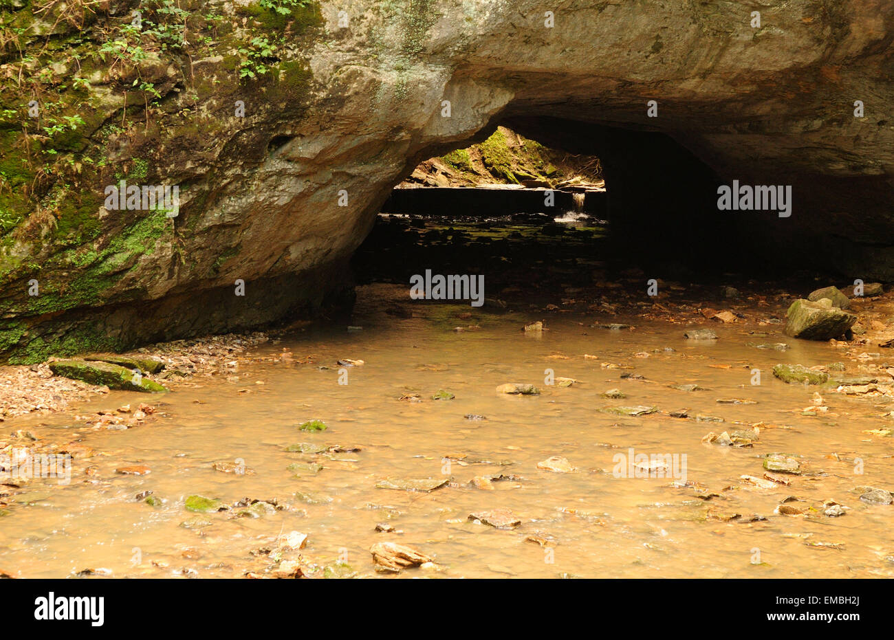 Ponte di roccia naturale con stream Foto Stock