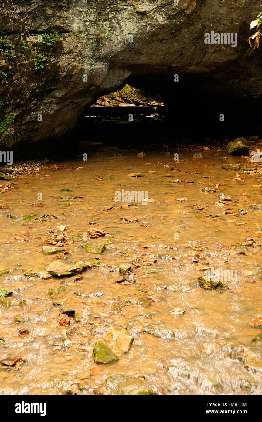 Ponte di roccia naturale con stream Foto Stock
