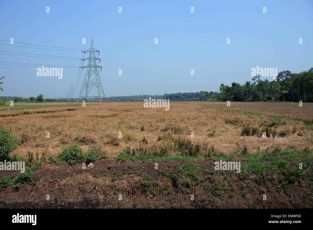 Splendida vista delle acque e delle piante di cocco Foto Stock