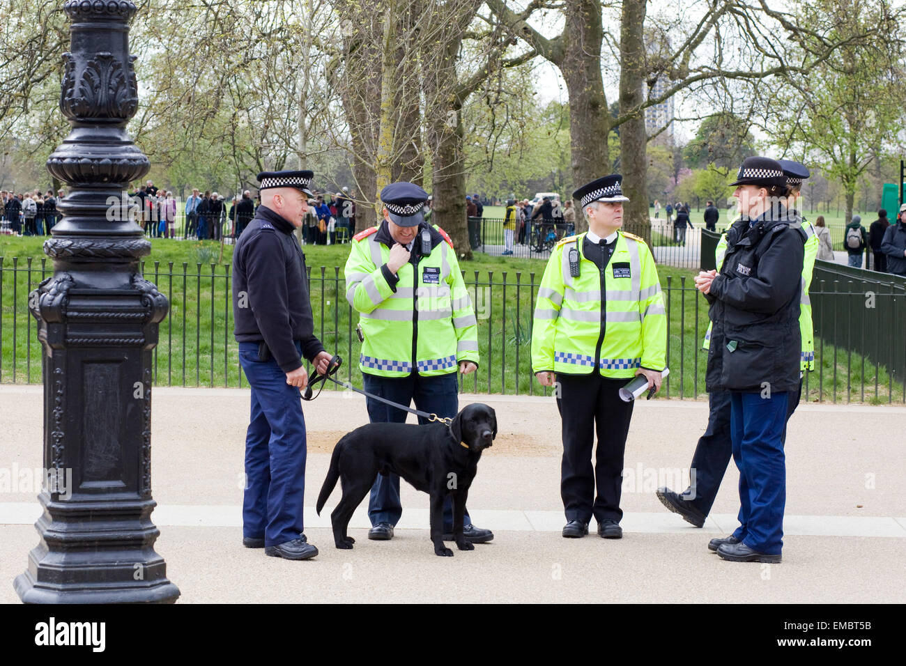Gli ufficiali di polizia in Hyde Park Londra di pattuglia di ricerca di persone in possesso di cannabis con uno sniffer dog Foto Stock