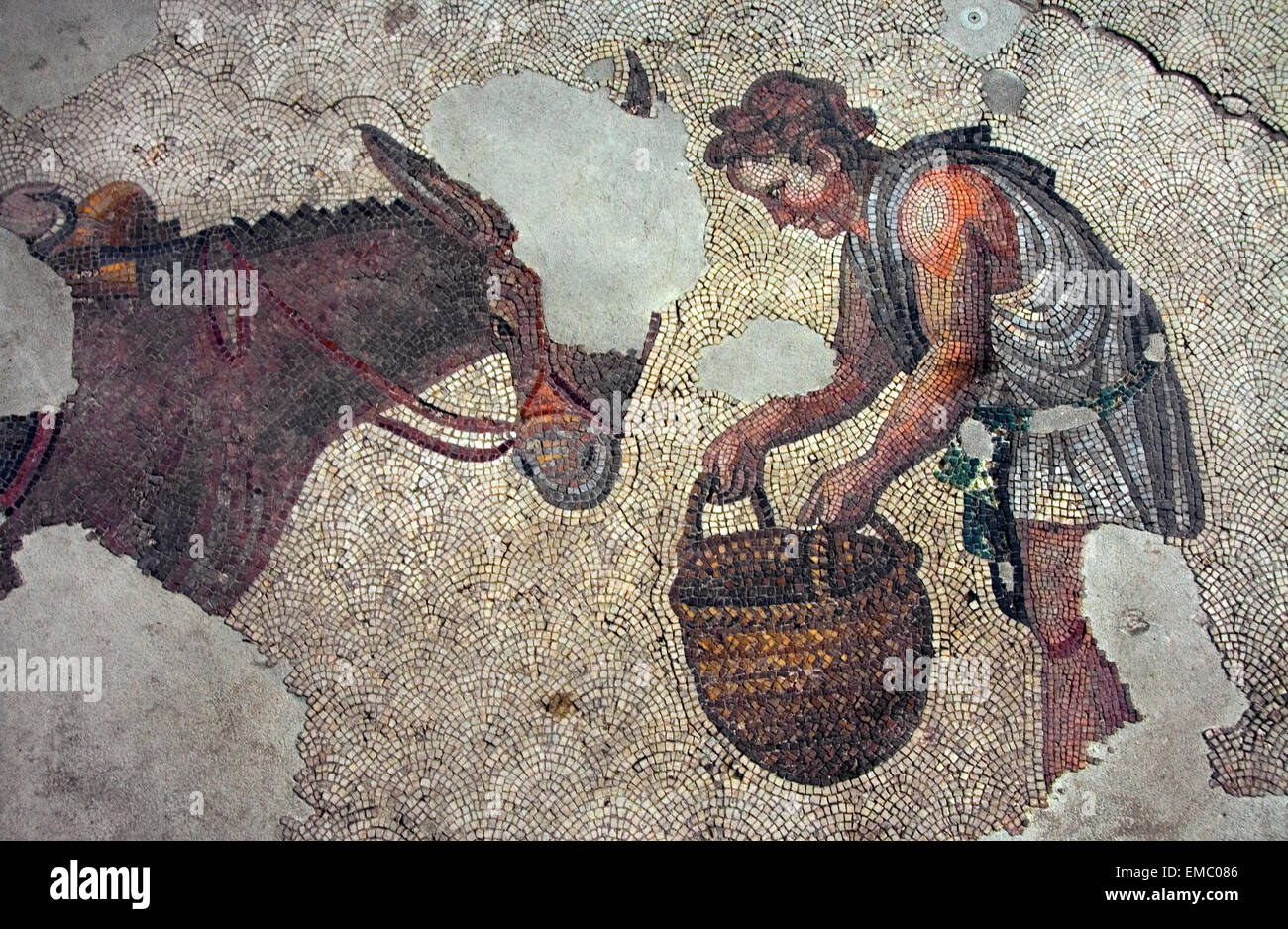 Una figura umana alimentare un asino rappresentato su un mosaico, Istanbul Foto Stock