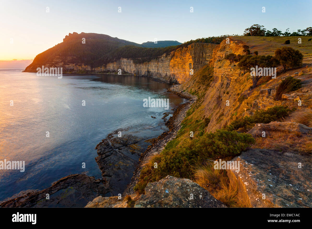 Baia di fossili - Maria Island National Park - Tasmania - Australia Foto Stock