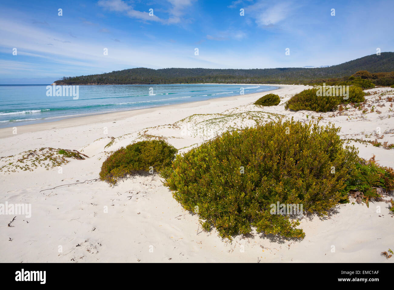 Riedle Bay - Maria Island National Park - Tasmania - Australia Foto Stock