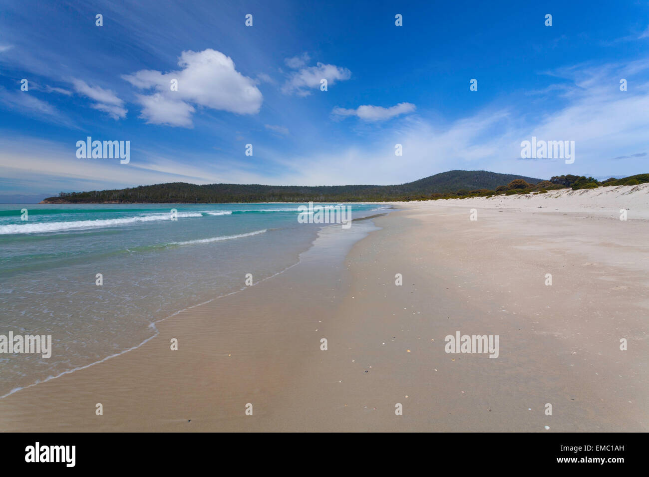 Riedle Bay - Maria Island National Park - Tasmania - Australia Foto Stock