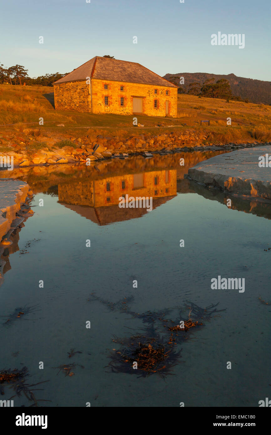 Commissariat Store (c.1825) - Maria Island National Park - Tasmania - Australia Foto Stock