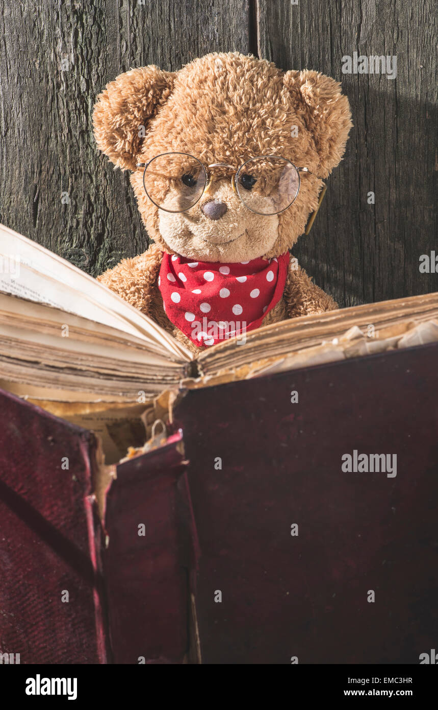 Teddy-bear con gli occhiali per leggere un libro Foto Stock