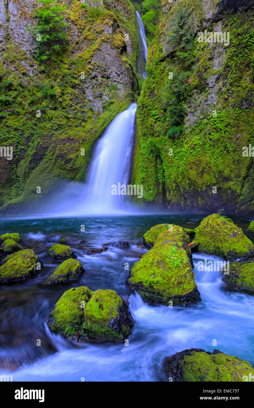 Stati Uniti d'America, Oregon, Multnomah County, Columbia River Gorge, Wahclella Falls Foto Stock