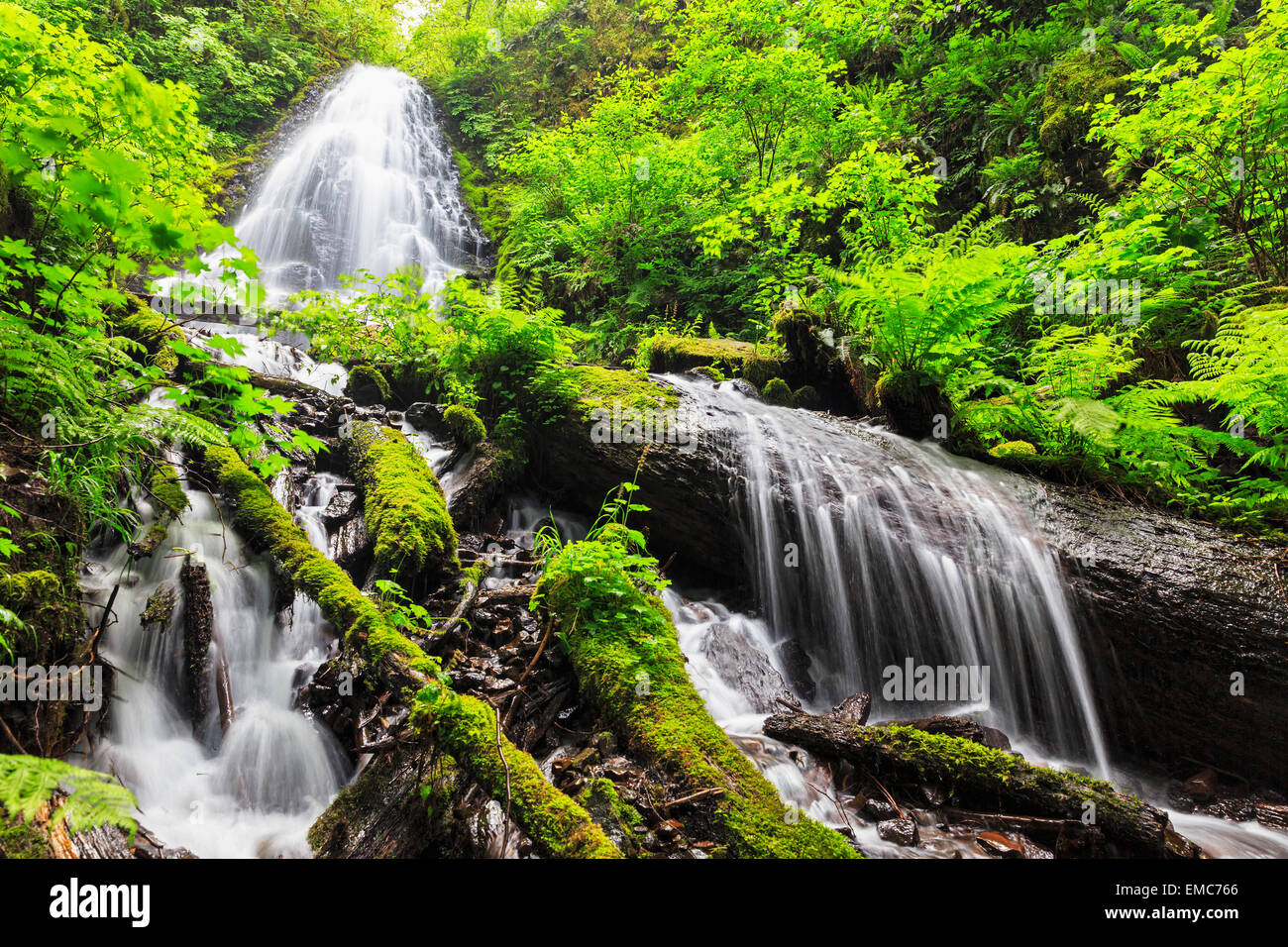Stati Uniti d'America, Oregon, Multnomah County, Columbia River Gorge, Fairy Falls Foto Stock