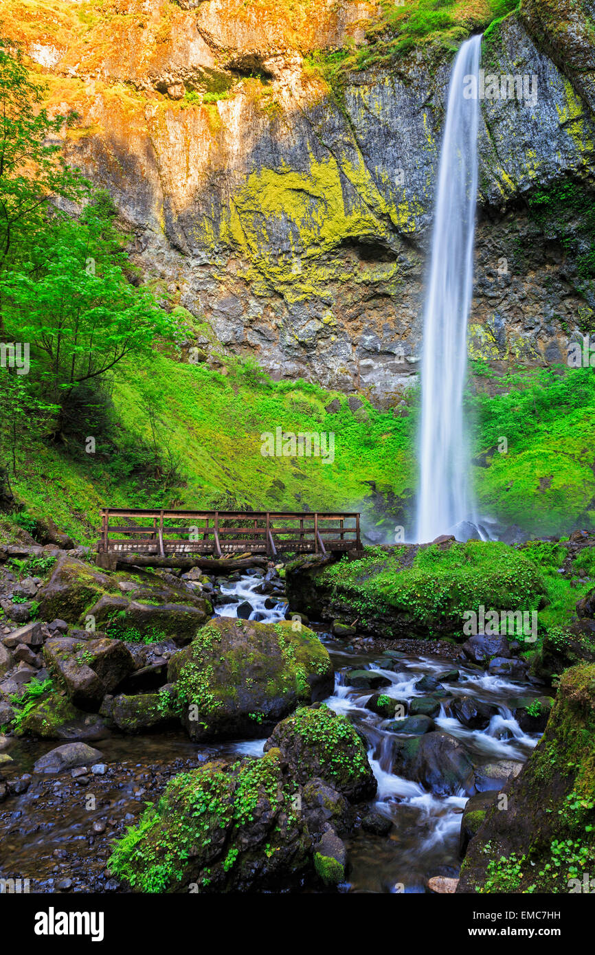 Stati Uniti d'America, Oregon, Multnomah County, Columbia River Gorge, Elowah cade Foto Stock