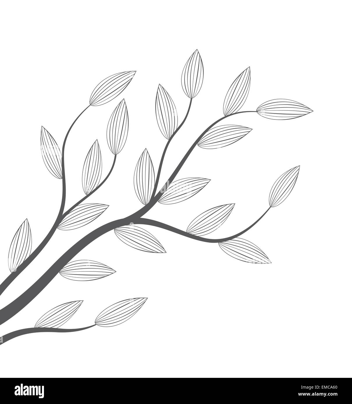 foglie Illustrazione Vettoriale