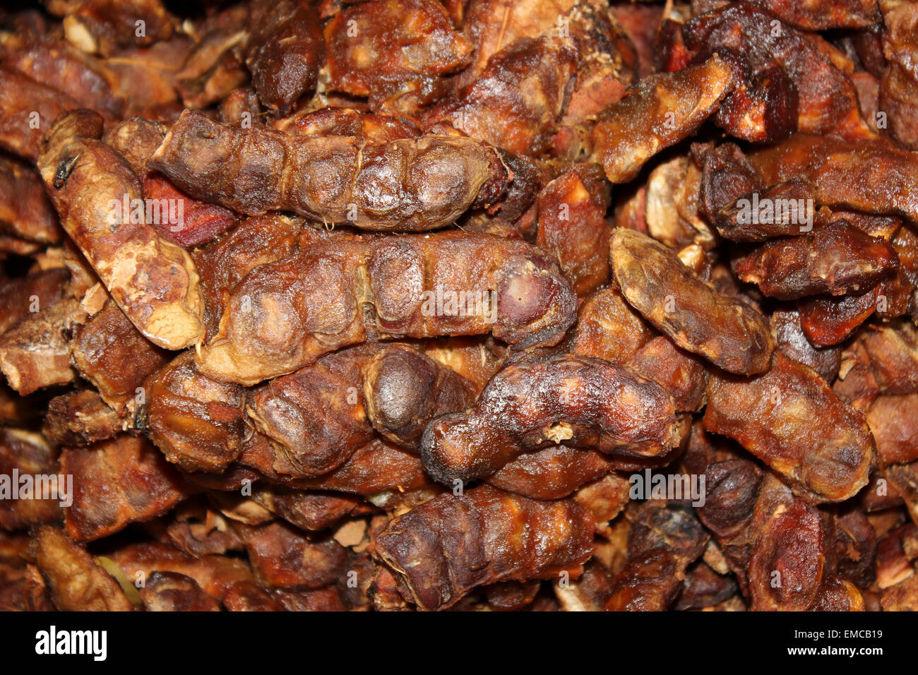Sticky paste commestibili di frutta di Tamarindo Tamarindus indica Foto Stock